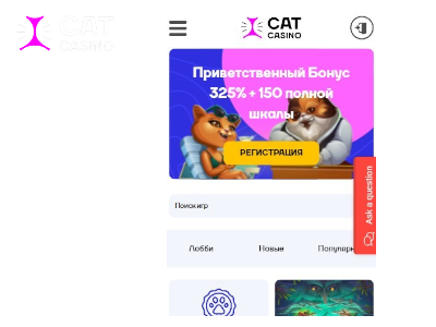 Cat Casino бездепозитный бонус