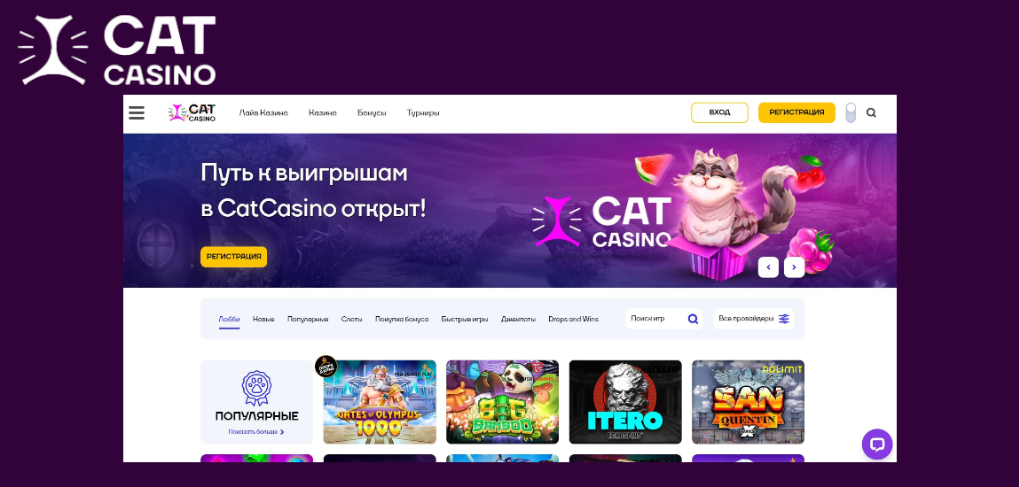 CatCasino - отличие официального сайта от зеркала