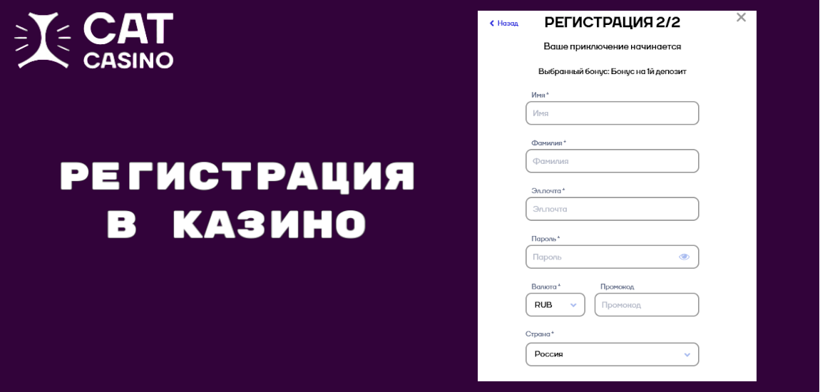 Регистрация в казино CatCasino